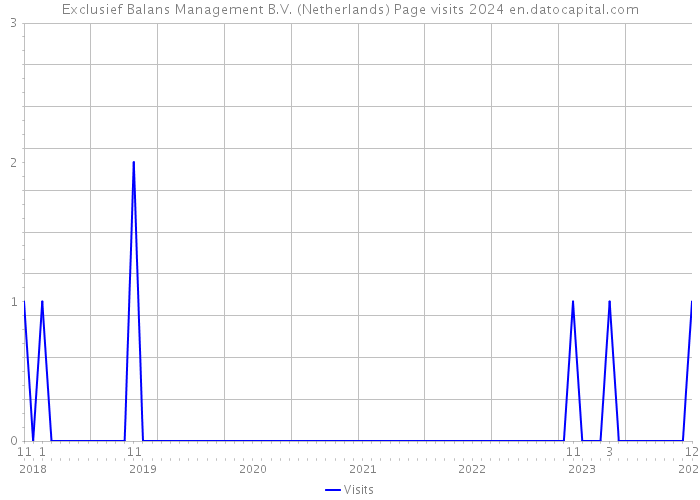 Exclusief Balans Management B.V. (Netherlands) Page visits 2024 