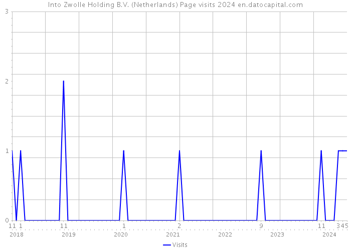 Into Zwolle Holding B.V. (Netherlands) Page visits 2024 
