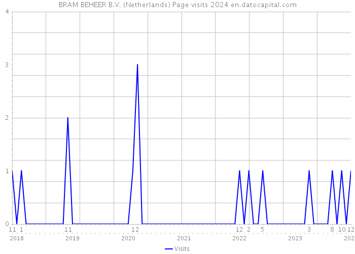 BRAM BEHEER B.V. (Netherlands) Page visits 2024 