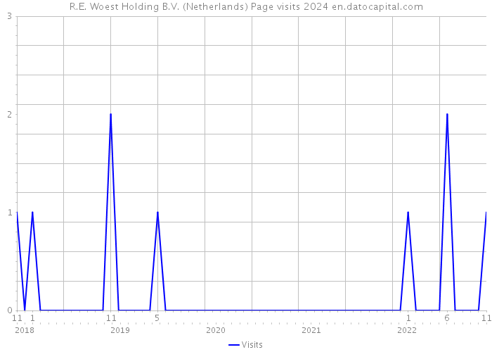 R.E. Woest Holding B.V. (Netherlands) Page visits 2024 