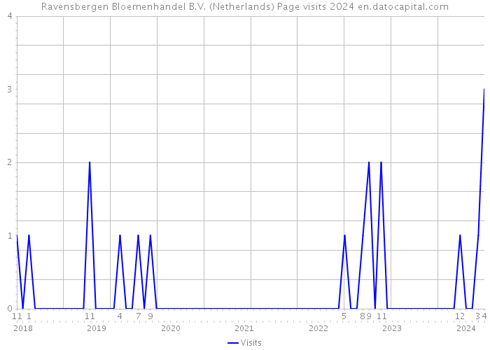 Ravensbergen Bloemenhandel B.V. (Netherlands) Page visits 2024 