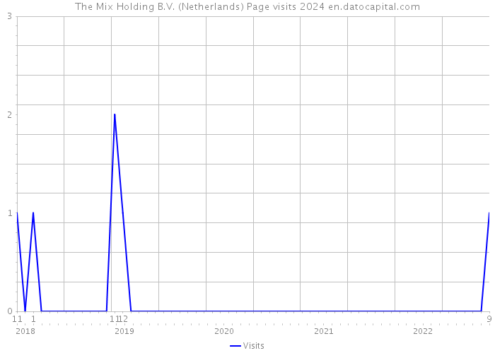 The Mix Holding B.V. (Netherlands) Page visits 2024 