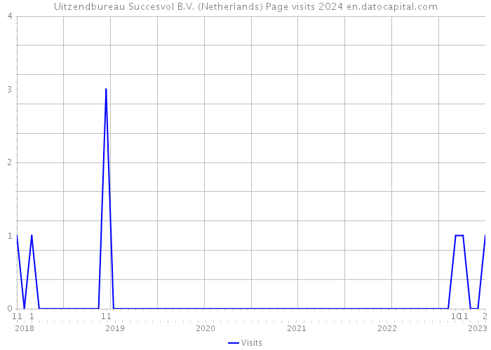 Uitzendbureau Succesvol B.V. (Netherlands) Page visits 2024 