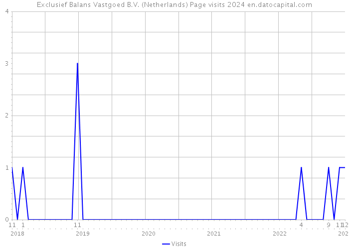 Exclusief Balans Vastgoed B.V. (Netherlands) Page visits 2024 