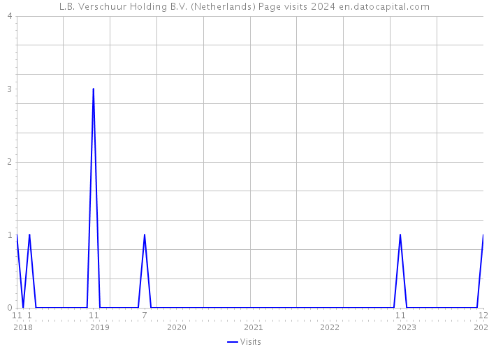 L.B. Verschuur Holding B.V. (Netherlands) Page visits 2024 