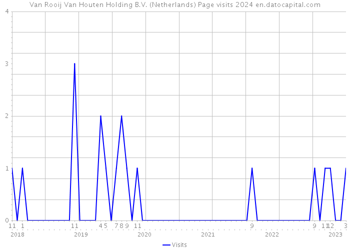 Van Rooij Van Houten Holding B.V. (Netherlands) Page visits 2024 