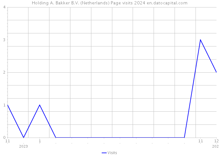 Holding A. Bakker B.V. (Netherlands) Page visits 2024 