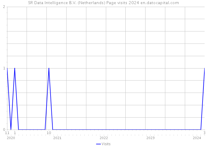 SR Data Intelligence B.V. (Netherlands) Page visits 2024 