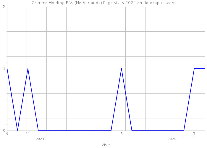 Grimme Holding B.V. (Netherlands) Page visits 2024 