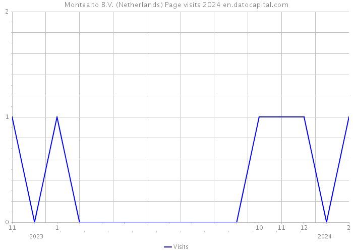 Montealto B.V. (Netherlands) Page visits 2024 