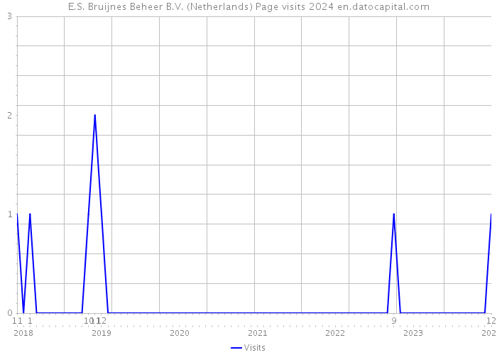 E.S. Bruijnes Beheer B.V. (Netherlands) Page visits 2024 