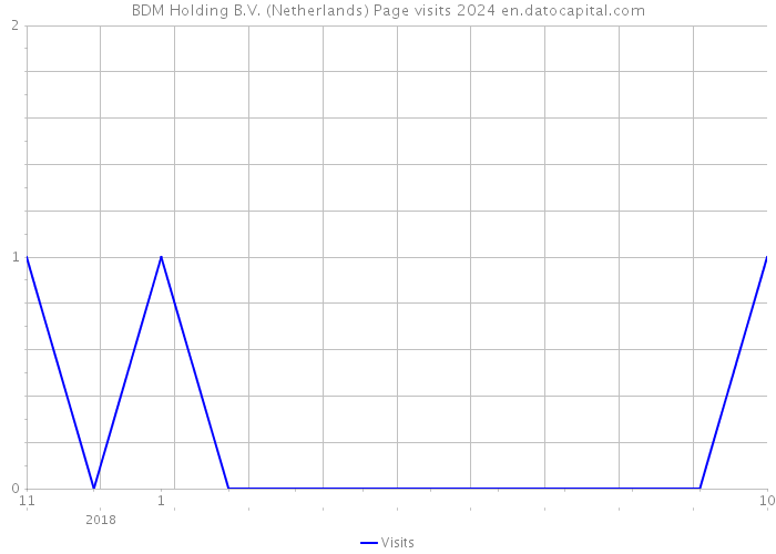 BDM Holding B.V. (Netherlands) Page visits 2024 