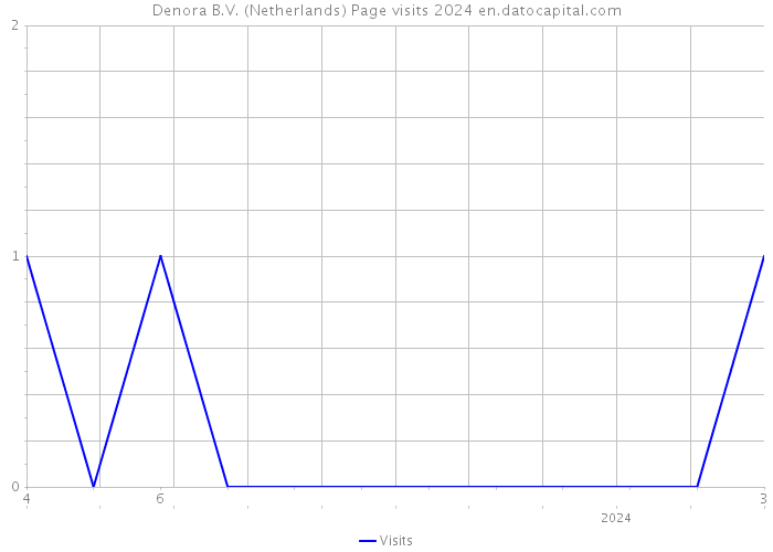 Denora B.V. (Netherlands) Page visits 2024 