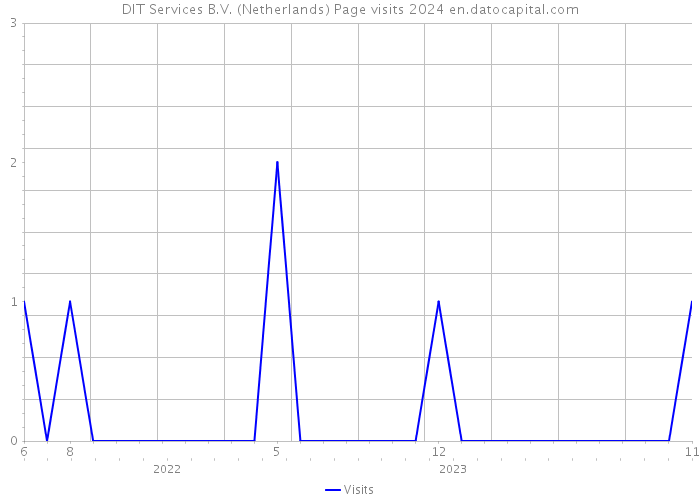 DIT Services B.V. (Netherlands) Page visits 2024 