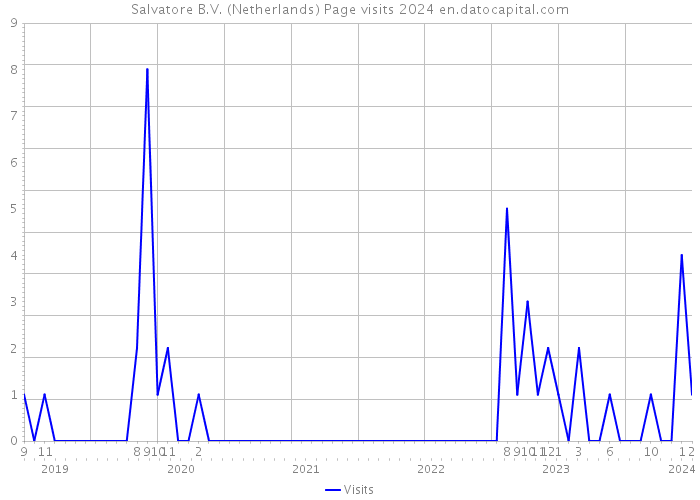 Salvatore B.V. (Netherlands) Page visits 2024 