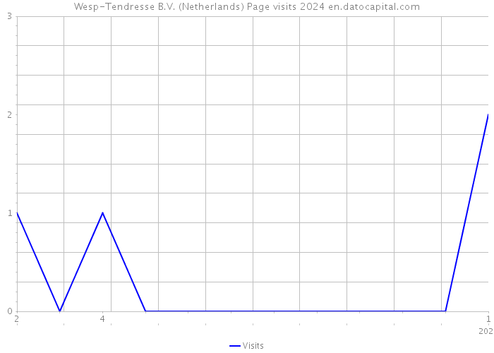 Wesp-Tendresse B.V. (Netherlands) Page visits 2024 