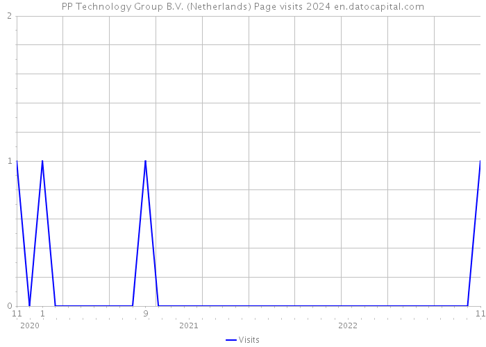 PP Technology Group B.V. (Netherlands) Page visits 2024 