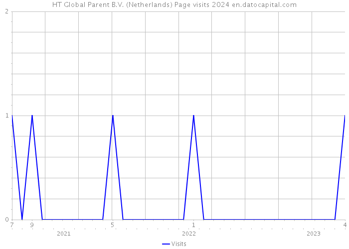 HT Global Parent B.V. (Netherlands) Page visits 2024 