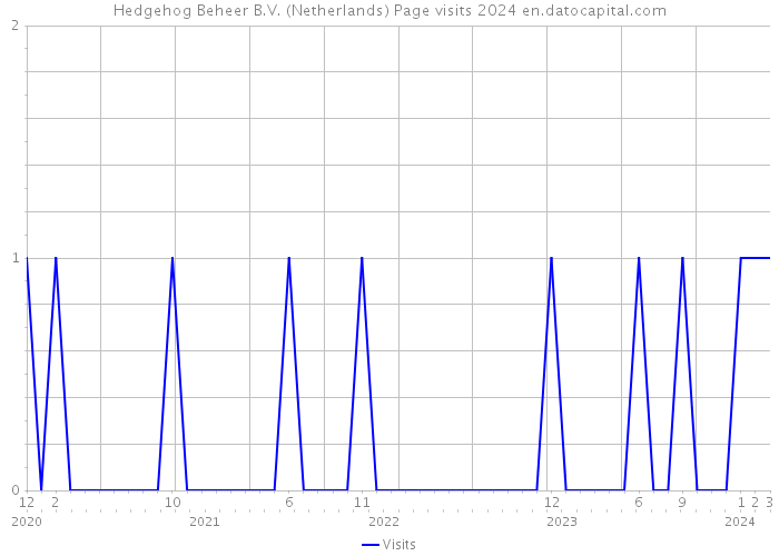Hedgehog Beheer B.V. (Netherlands) Page visits 2024 