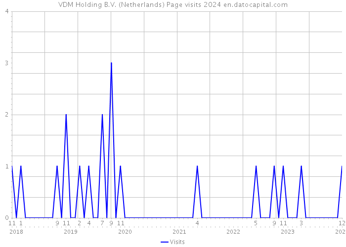 VDM Holding B.V. (Netherlands) Page visits 2024 