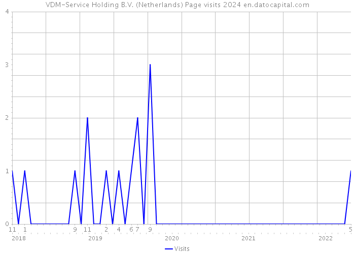 VDM-Service Holding B.V. (Netherlands) Page visits 2024 