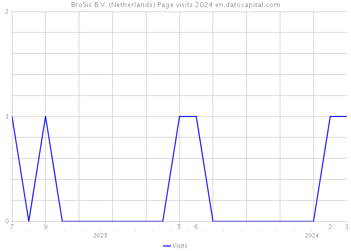 BroSis B.V. (Netherlands) Page visits 2024 