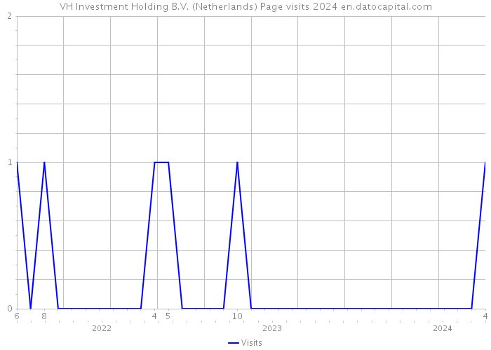 VH Investment Holding B.V. (Netherlands) Page visits 2024 