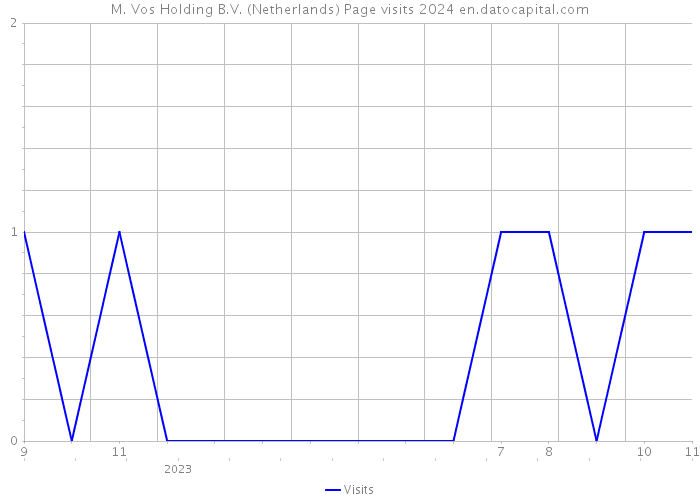 M. Vos Holding B.V. (Netherlands) Page visits 2024 
