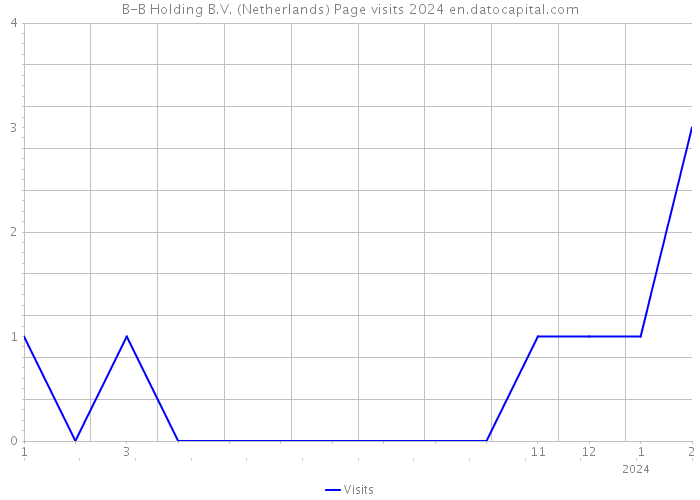 B-B Holding B.V. (Netherlands) Page visits 2024 