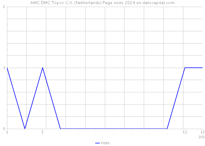 AMC DMC Topco C.V. (Netherlands) Page visits 2024 