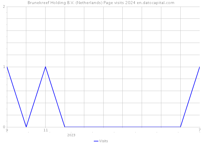Brunekreef Holding B.V. (Netherlands) Page visits 2024 