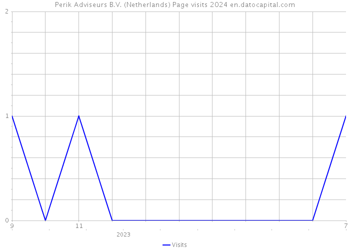 Perik Adviseurs B.V. (Netherlands) Page visits 2024 
