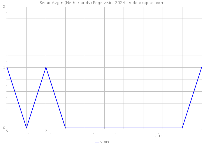Sedat Azgin (Netherlands) Page visits 2024 