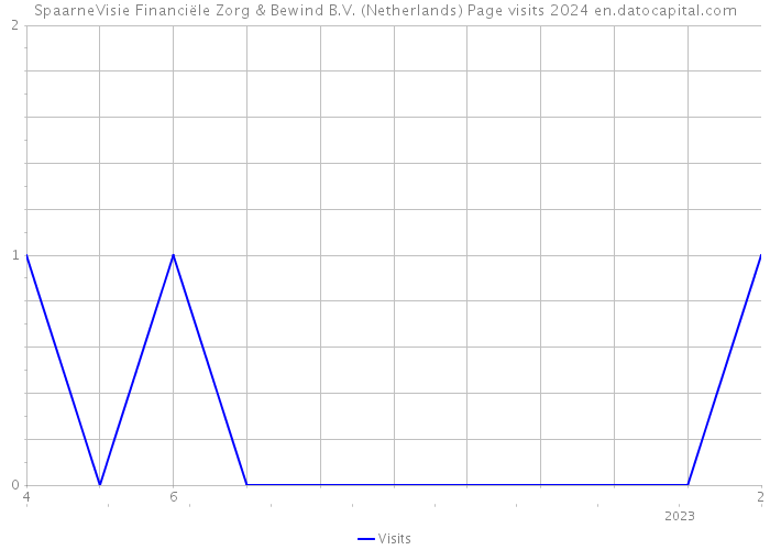 SpaarneVisie Financiële Zorg & Bewind B.V. (Netherlands) Page visits 2024 