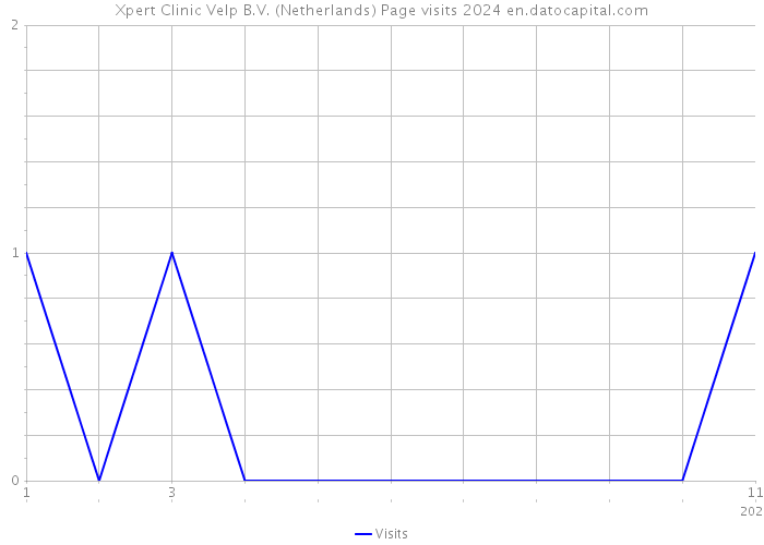 Xpert Clinic Velp B.V. (Netherlands) Page visits 2024 