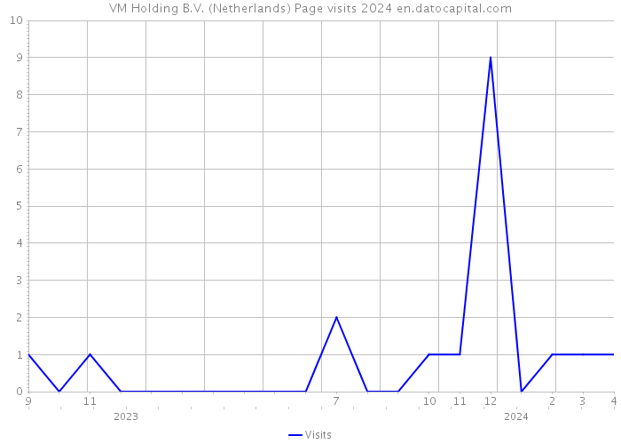 VM Holding B.V. (Netherlands) Page visits 2024 