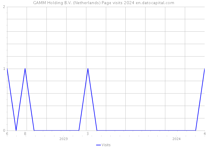 GAMM Holding B.V. (Netherlands) Page visits 2024 