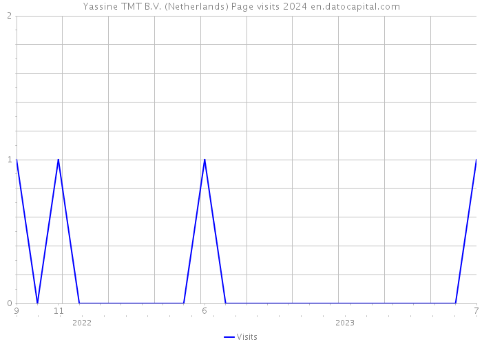 Yassine TMT B.V. (Netherlands) Page visits 2024 