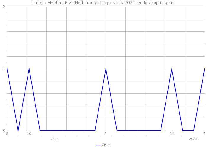 Luijckx Holding B.V. (Netherlands) Page visits 2024 