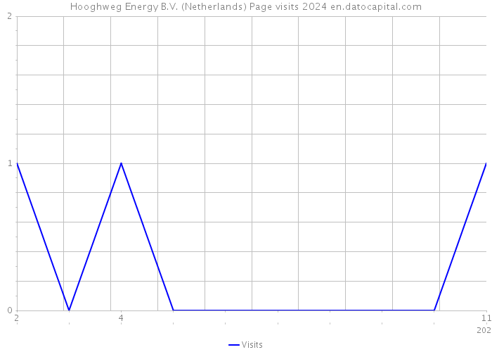 Hooghweg Energy B.V. (Netherlands) Page visits 2024 