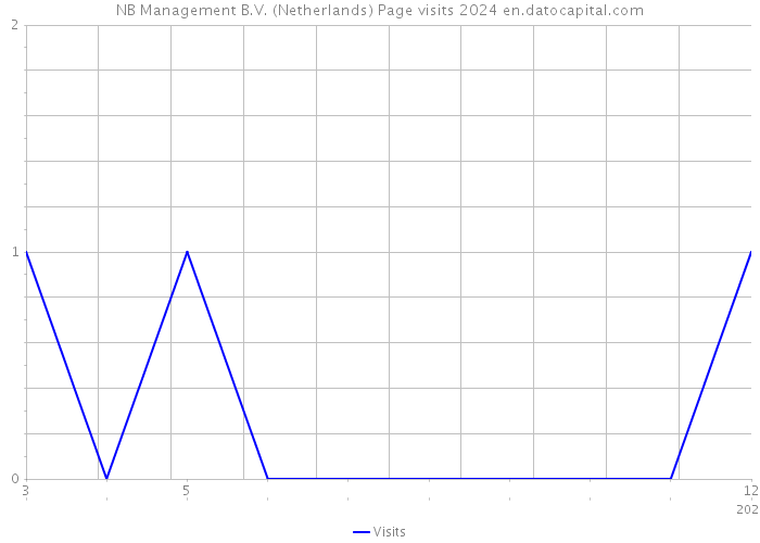 NB Management B.V. (Netherlands) Page visits 2024 