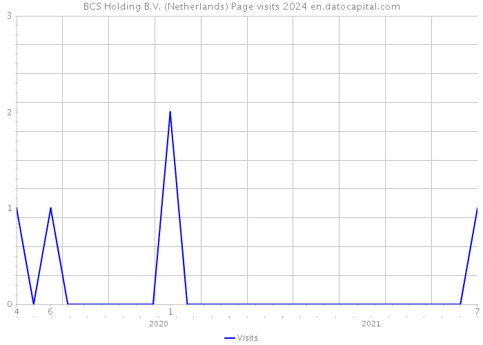 BCS Holding B.V. (Netherlands) Page visits 2024 