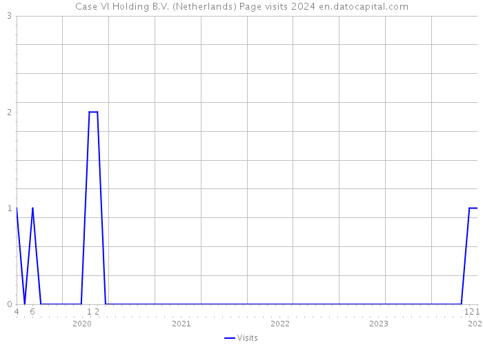 Case VI Holding B.V. (Netherlands) Page visits 2024 