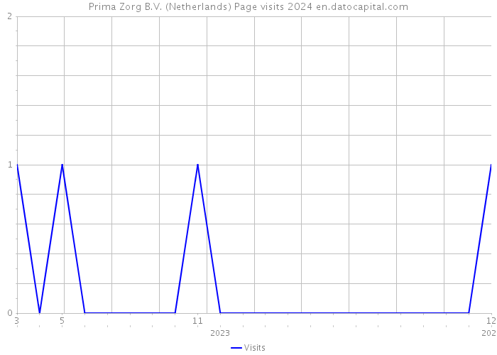 Prima Zorg B.V. (Netherlands) Page visits 2024 