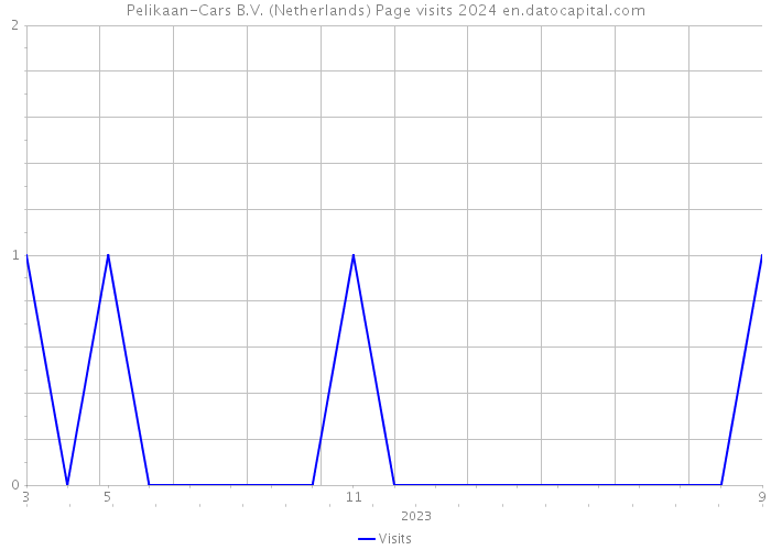 Pelikaan-Cars B.V. (Netherlands) Page visits 2024 
