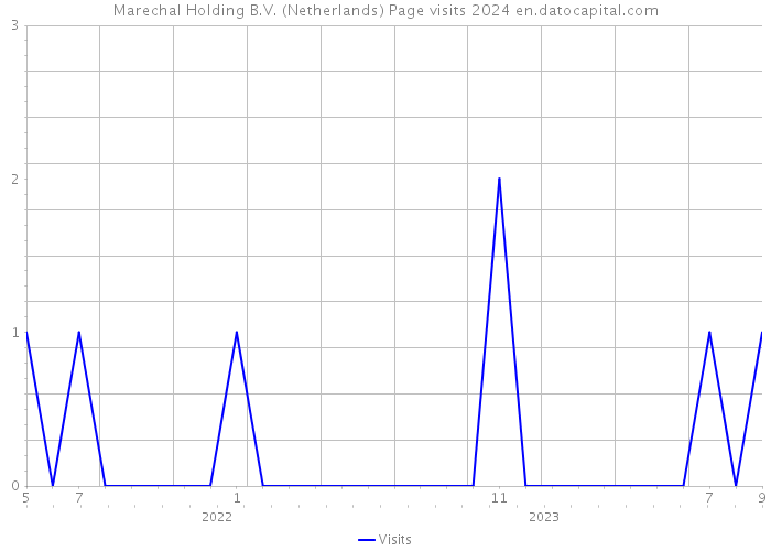 Marechal Holding B.V. (Netherlands) Page visits 2024 