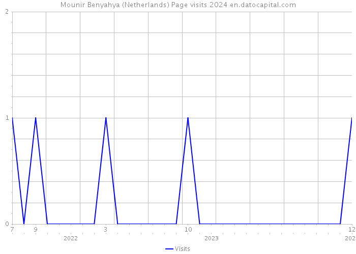 Mounir Benyahya (Netherlands) Page visits 2024 