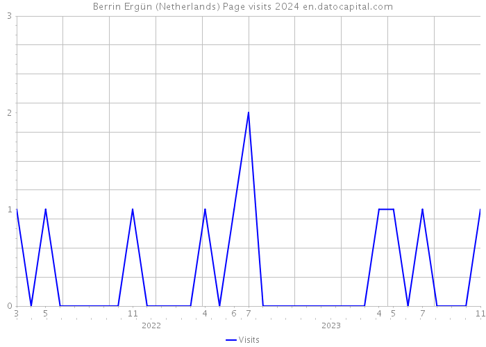 Berrin Ergün (Netherlands) Page visits 2024 