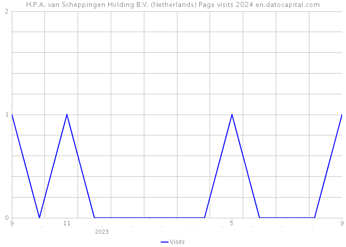 H.P.A. van Scheppingen Holding B.V. (Netherlands) Page visits 2024 