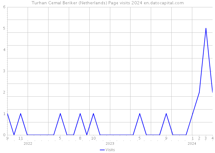 Turhan Cemal Beriker (Netherlands) Page visits 2024 
